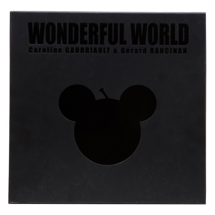 Livre WONDERFUL WORLD - 2012
