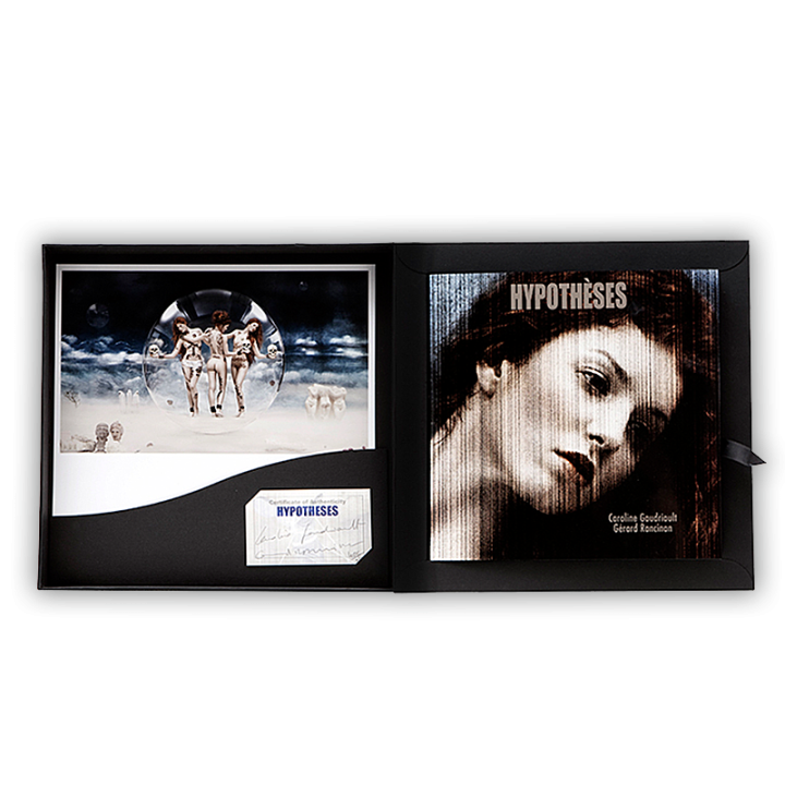 COLLECTOR BOOK HYPOTHESES - numbered 2012