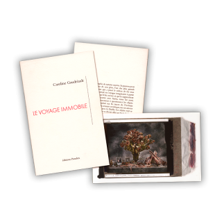 LIVRE VOYAGE IMMOBILE - TIRAGE DE TÊTE - 2021