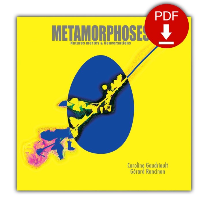 eBOOK  - METAMORPHOSE - Français - 2009