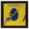 Coffret METAMORPHOSES 2